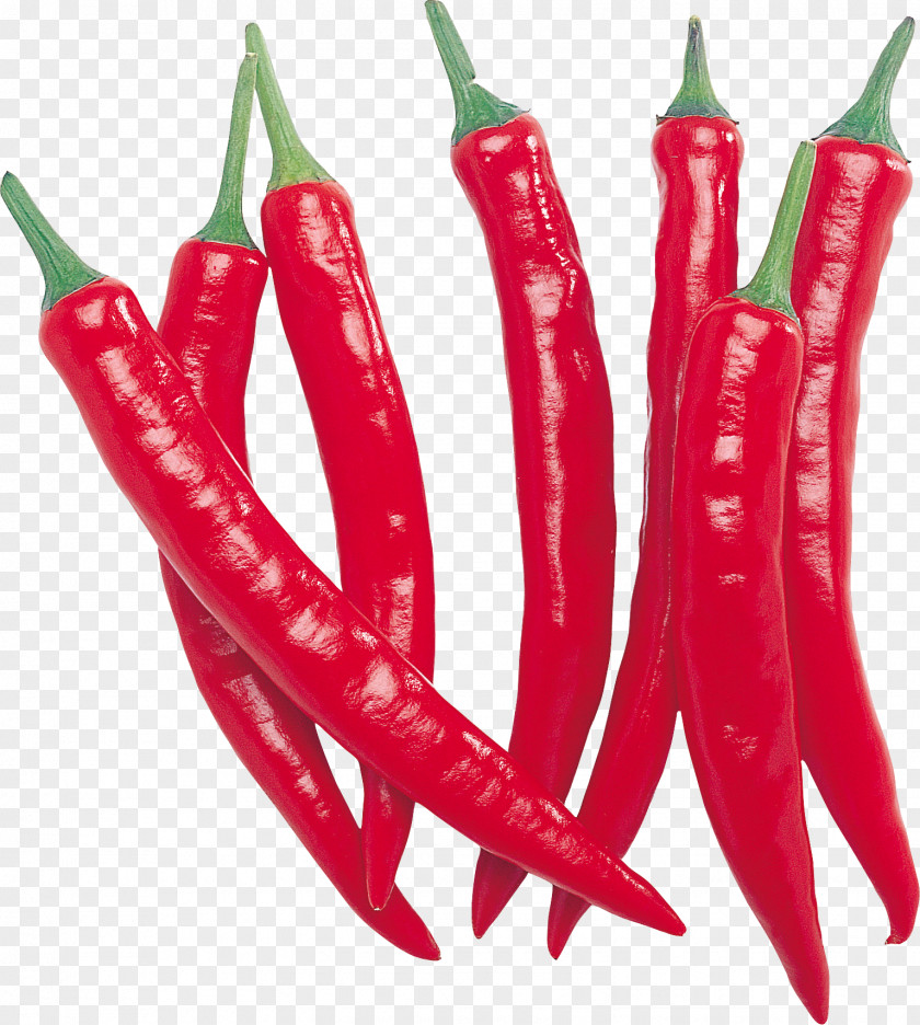 Red Chili Pepper Image Bell Cayenne Vegetable PNG