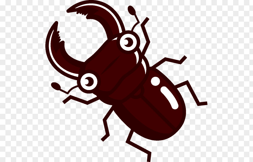 Beetle Stag Illustration Japanese Rhinoceros Dorcus Rectus PNG