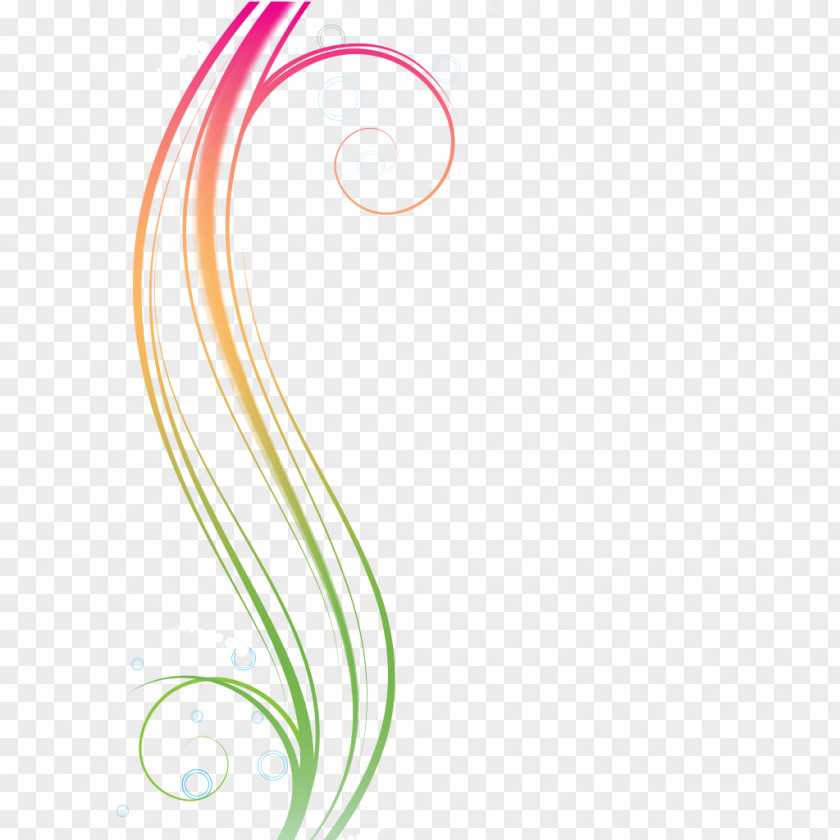 Colorful Lines Flowering Plant Angle Font PNG