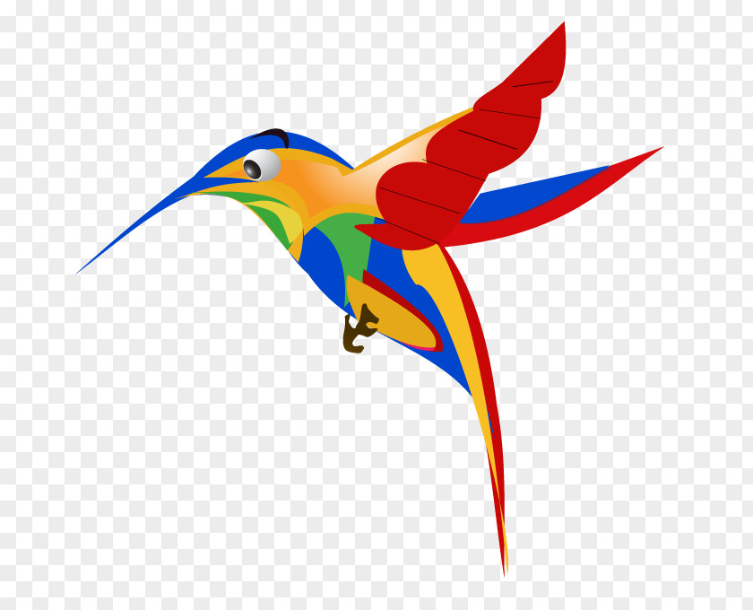 Humming Bird Google Images Hummingbird Royalty-free PNG