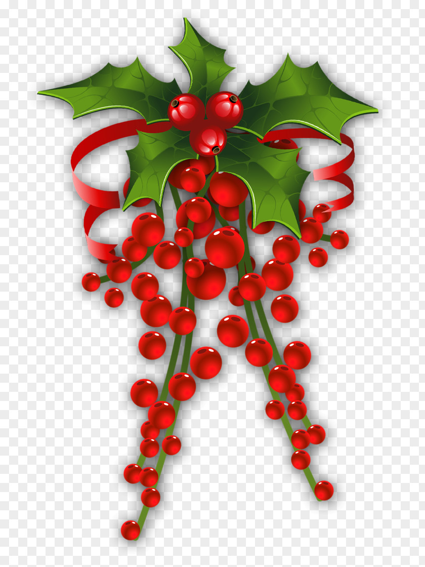 Mistletoe Decor Christmas Decoration Clip Art PNG