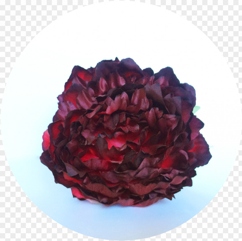 Peonias Maroon Color Pink Blue Purple PNG
