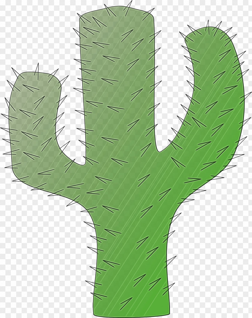 Prickly Pear Hedgehog Cactus Green Grass Background PNG