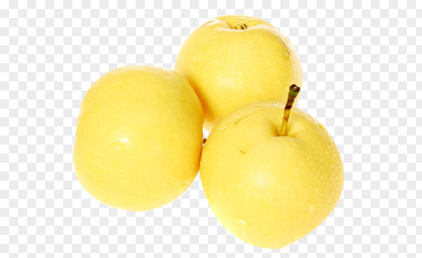 Three Pear Picture Material Lemon European Citrus Junos Fruit PNG