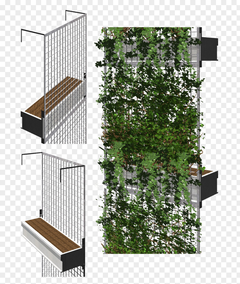 Building Facade Green Wall Architecture Garden PNG