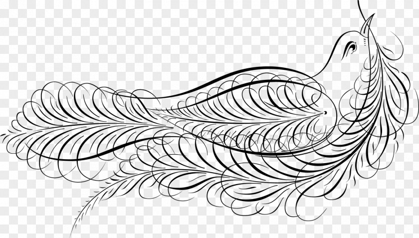 Calligraphic Design Drawing Royalty-free Line Art PNG