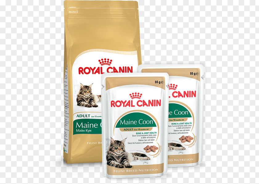 Dog Maine Coon Cat Food British Shorthair Persian Norwegian Forest PNG