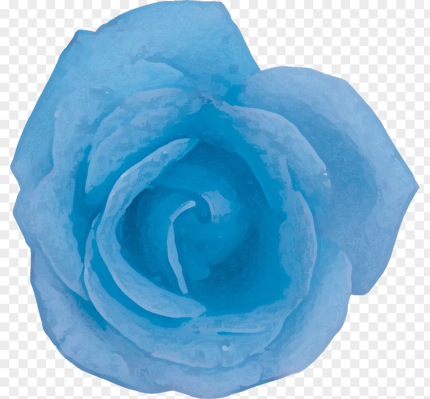 Flower Blue Rose Centifolia Roses Garden Petal PNG