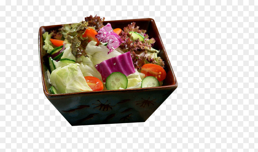 Fresh Vegetable Salad Bento Osechi Vegetarian Cuisine PNG