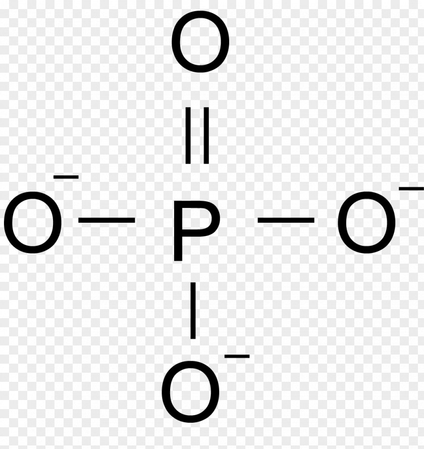 Grup Fosfat Phosphate Nucleic Acid Phosphoric Nitrogenous Base PNG
