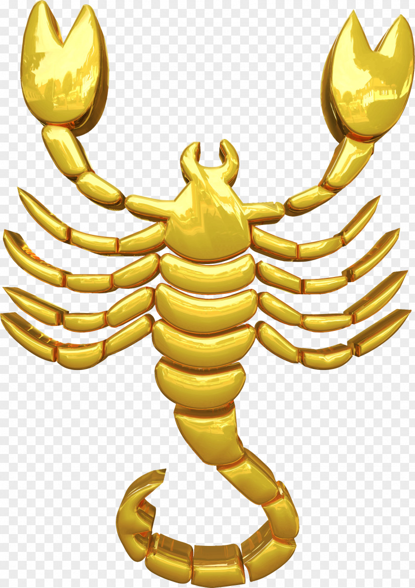 Scorpio Scorpion Zodiac Astrological Sign Horoscope PNG