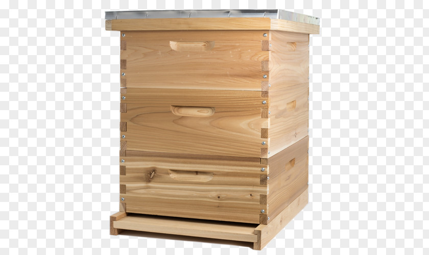 Turmeric Honey Beehive Beekeeping Bee Langstroth Hive PNG