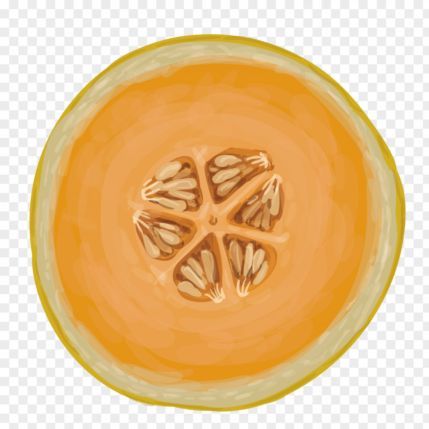 Vector Melon Hami Cantaloupe PNG