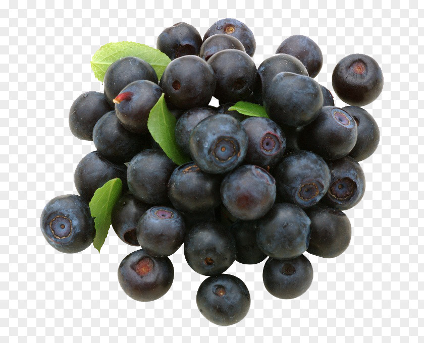 Blueberry Photos European Fruit PNG