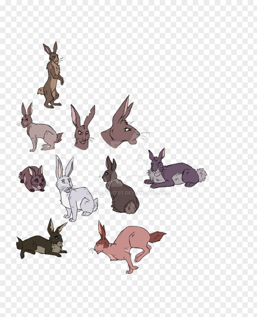 Cat Hare Dog Canidae Animal PNG