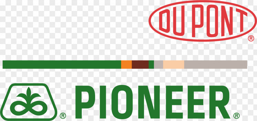 Color Grad Logo DuPont Pioneer BASF Brand PNG