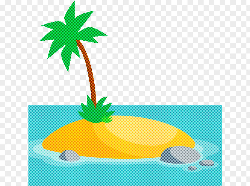 Palm Tree Plant PNG