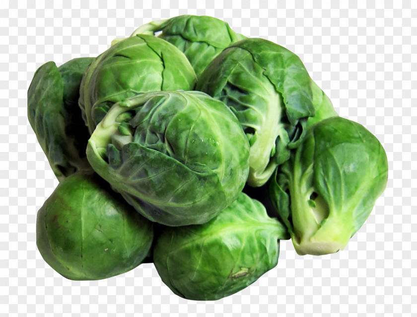 Brussels Sprouts Sprout Vegetable Broccoli Sprouting Food PNG