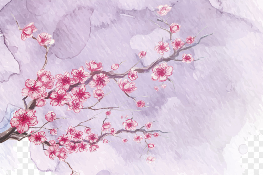 Cherry Blossoms Watercolor Painting Ink Wash PNG