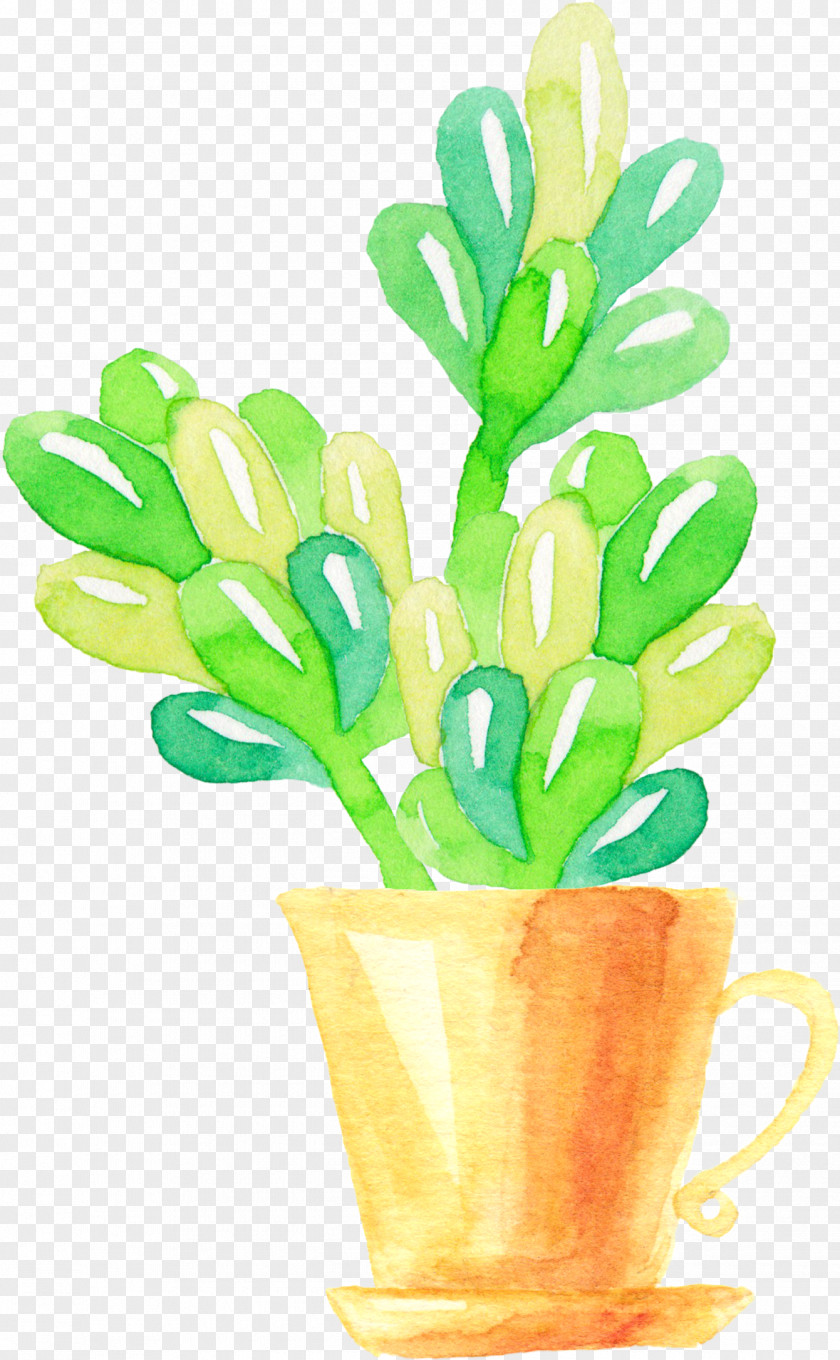 Hand-painted Star Beauty Meat Plant Succulent Watercolor Painting Illustration PNG