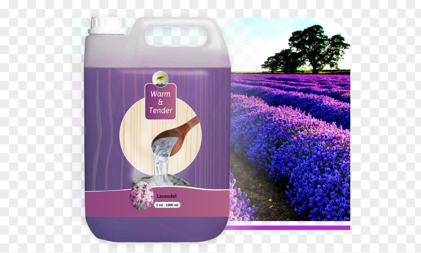 Lavendel Provence Lavender Hotel Shrub Odor PNG