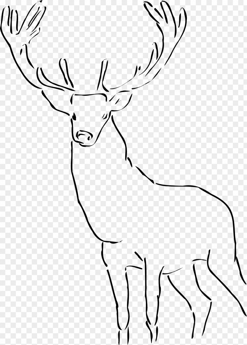 Reindeer Deer Clip Art PNG
