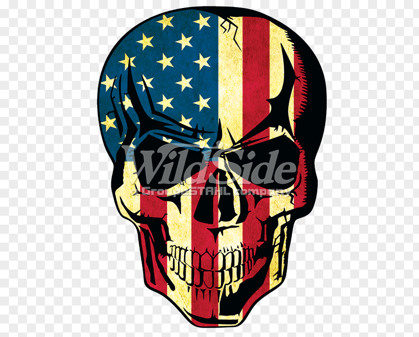 T-shirt Flag Of The United States Skull Jolly Roger PNG