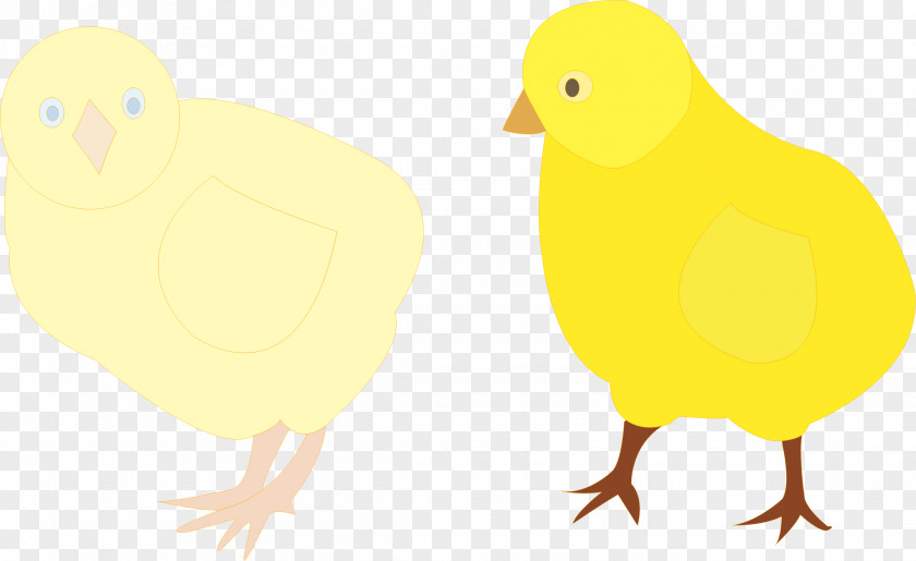 Chick Chicken Bird Clip Art PNG
