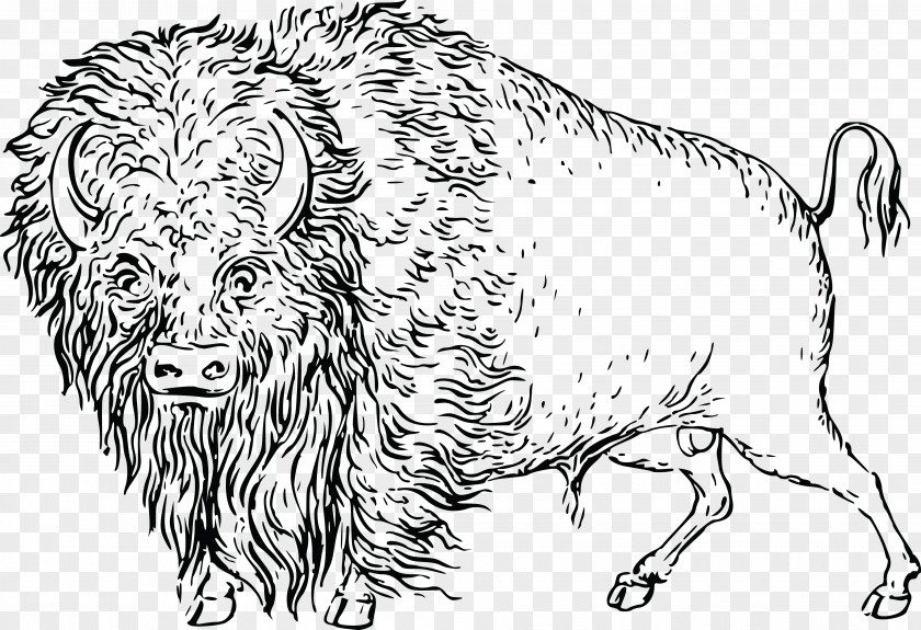 Deer Water Buffalo American Bison Cattle Clip Art PNG
