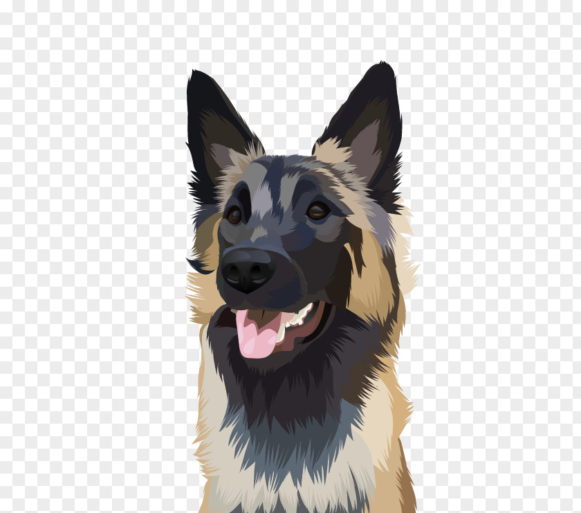 German Shepherd Tervuren Shiloh Dog Kunming Wolfdog Breed PNG