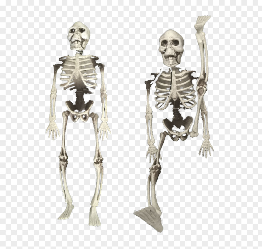 Horror White Fool's Day Spoof Bones Props Bone April Fools Kuso Skeleton PNG