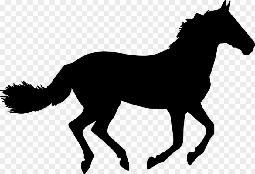 Horse Drawing Silhouette Clip Art PNG