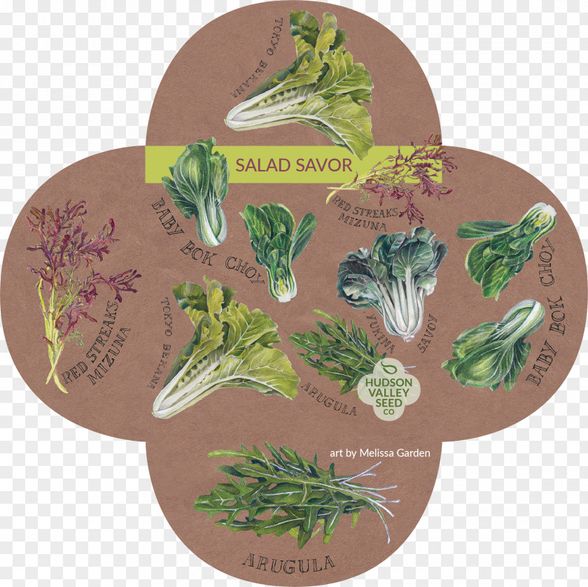 Hudson Valley Seed Company Herb Leaf Vegetable Library PNG