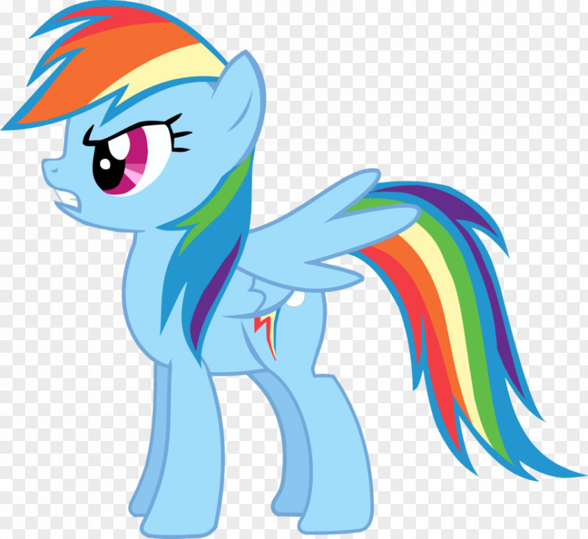 My Little Pony Rainbow Dash Pinkie Pie Rarity Fluttershy Twilight Sparkle PNG