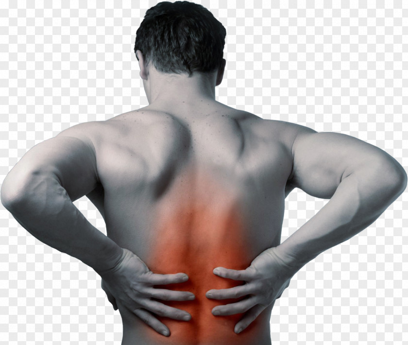 Pain Low Back Physical Therapy Management PNG