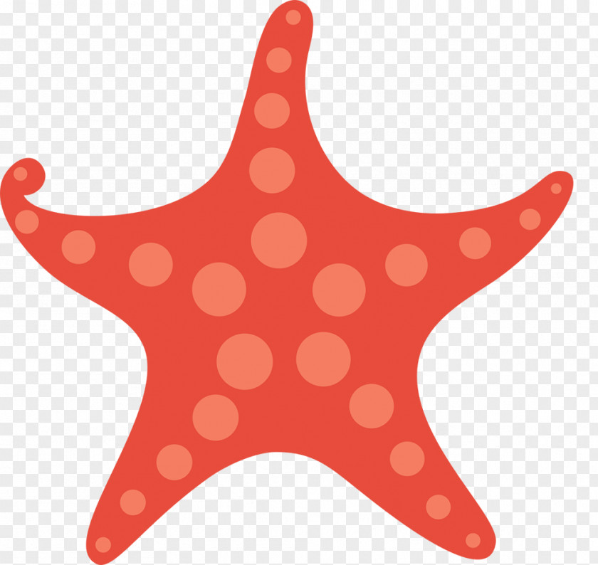 Starfish Template Gift Card Rxe9sumxe9 PNG