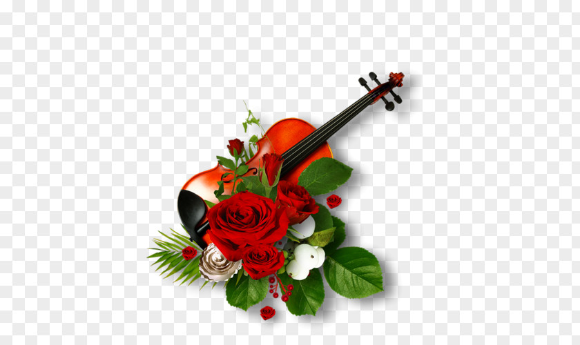 Violins Picture Frames Image Flower Photo Frame Photograph Double PNG