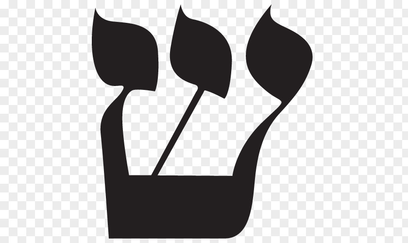 Warranty Direct Shin Hebrew Alphabet Letter PNG
