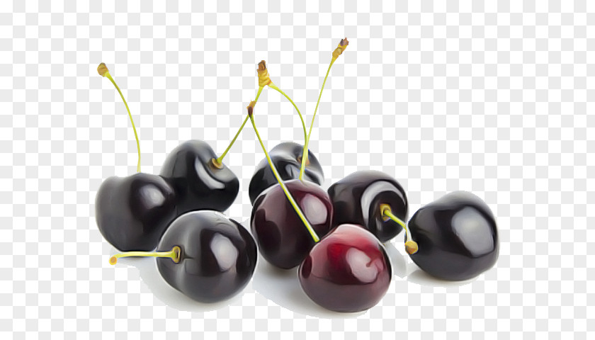 Black Cherry Tree Fruit Plant Olive Superfood PNG