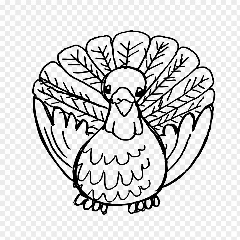 Feather Black And White Turkey Meat Drawing Art Clip PNG