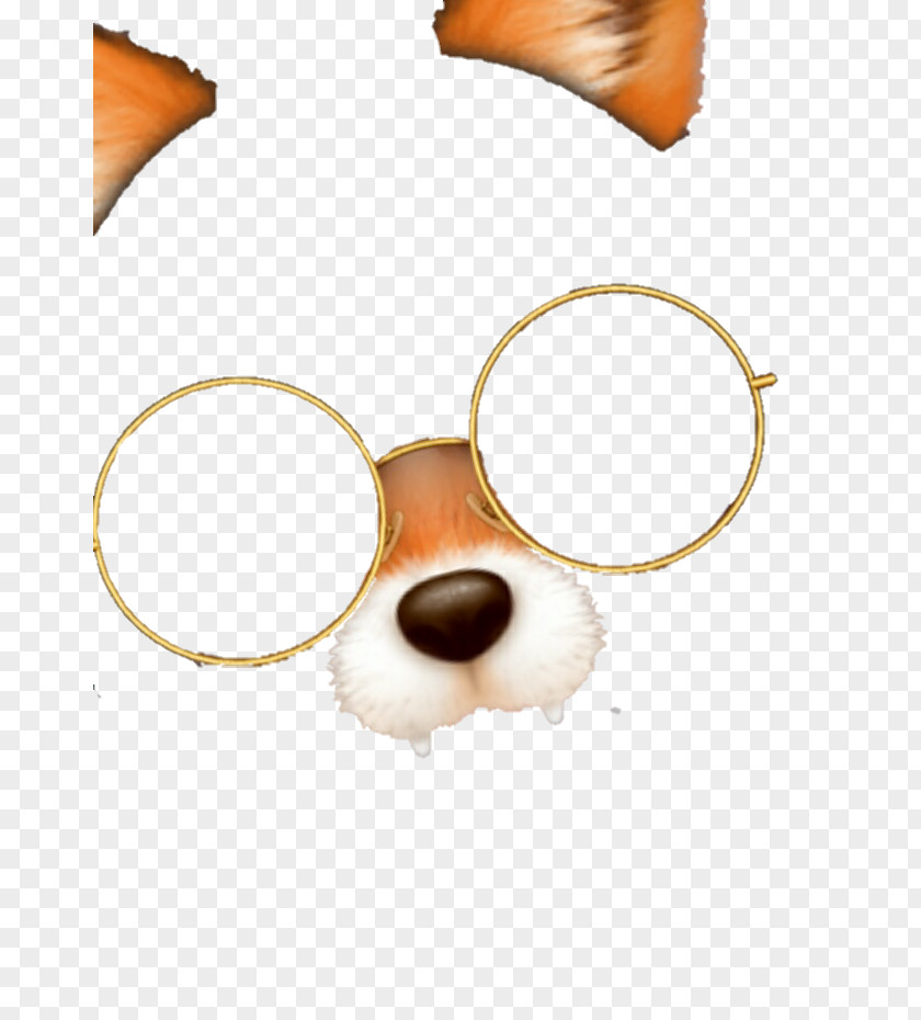 Fox Snout PNG