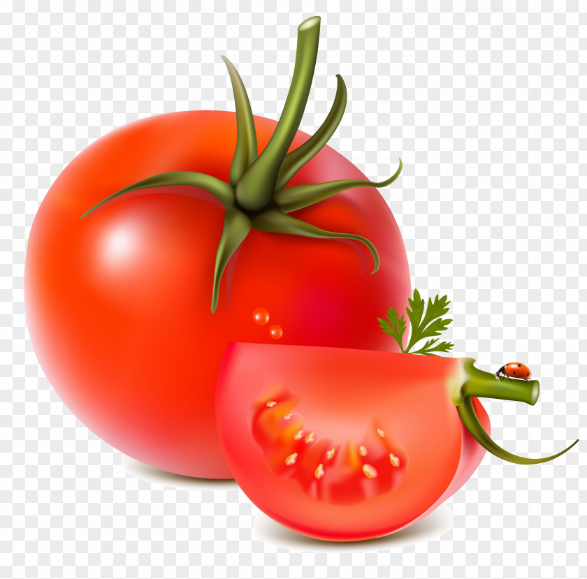 Tomato Vegetable Fruit PNG