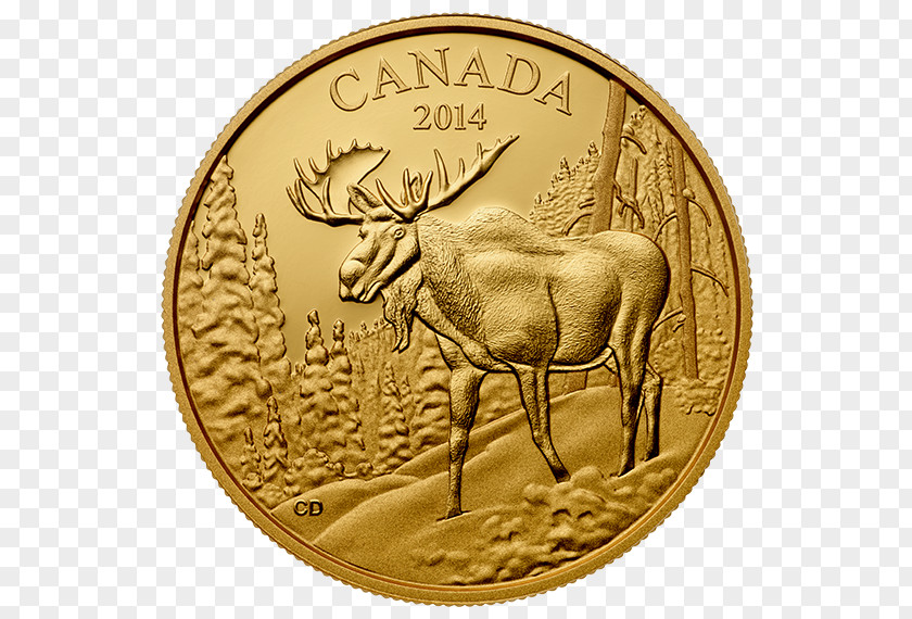 Coin Moose Deer United States Dollar Archetype PNG