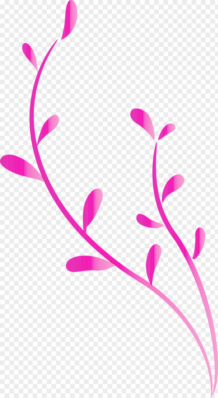 Pink Pedicel Magenta Flower Plant PNG