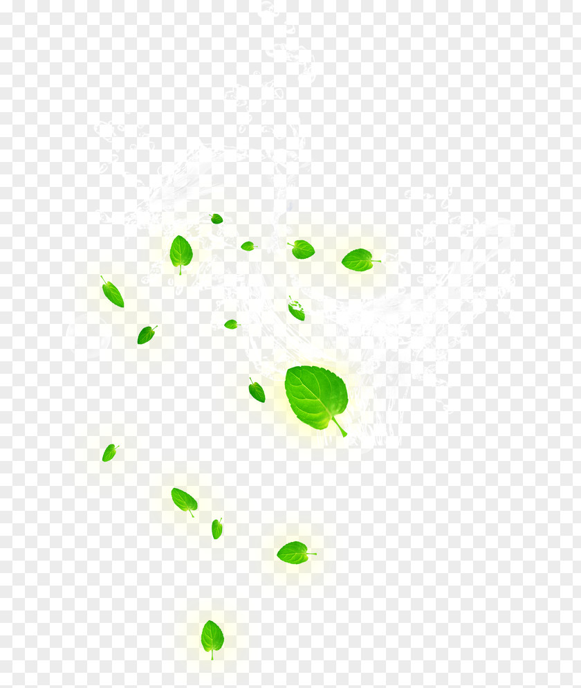 Spray,Water Ripples Leaf Area Pattern PNG