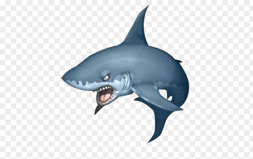 3D Great White Shark Rendering Software PNG