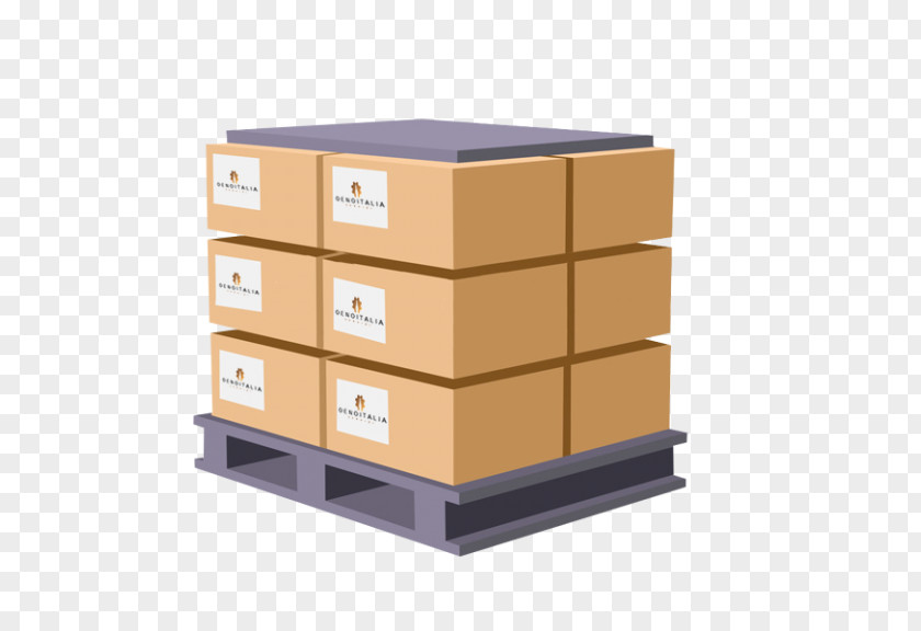 Box Pallet Logistics PNG