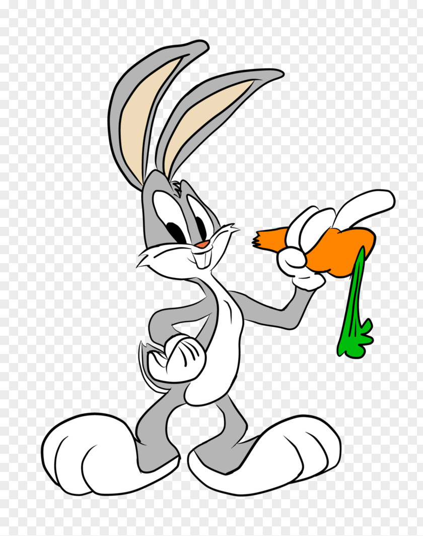 Bunny Bugs Elmer Fudd Daffy Duck Cartoon Drawing PNG