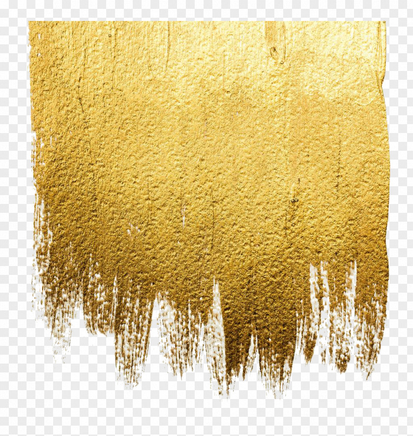 Gold Wall Paint Acrylic Abstract Art Illustration PNG