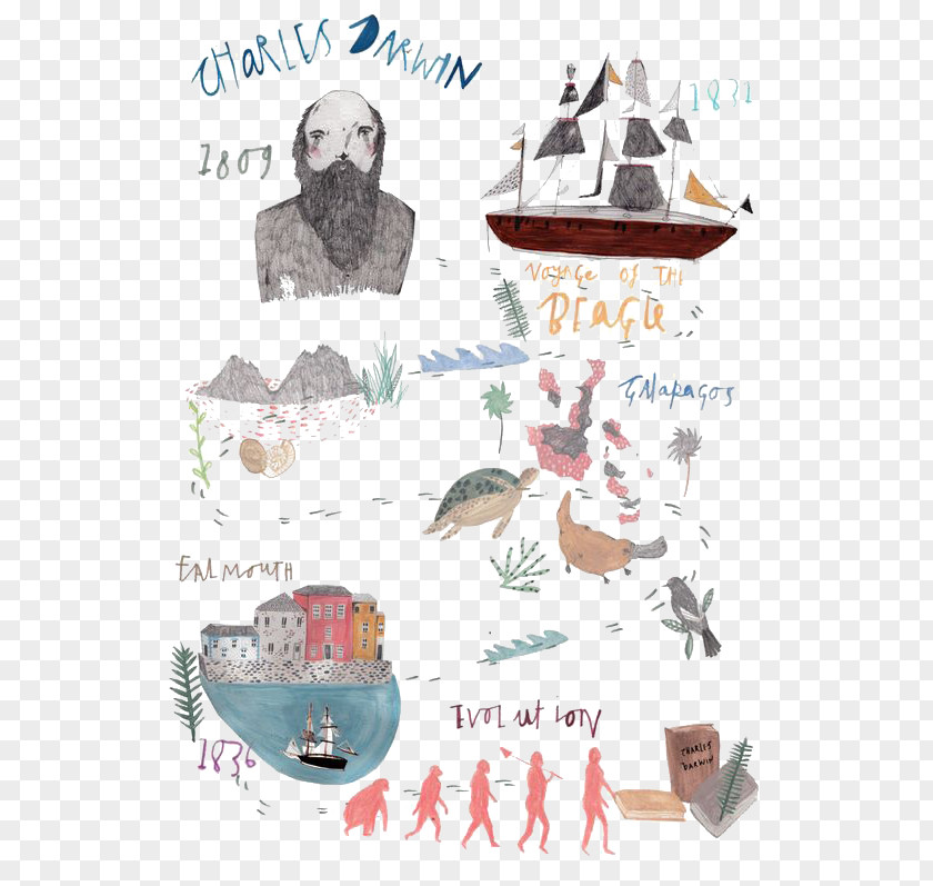 Hand-painted Sailing Cartoon Clip Art PNG